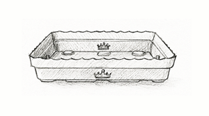 Big tray